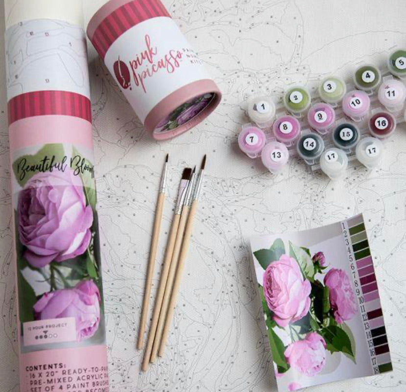 Pink Picasso Paint by Numbers Kit - Find Your Balance