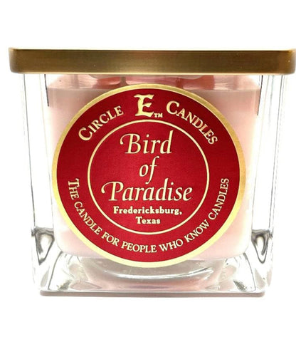 22OZ BIRDS OF PARADISE DOUBLE WICKED CANDLES
