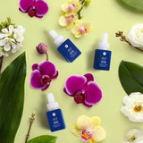 PURA DIFFUSER REFILL-0.34FL OZ ALOHA ORCHID