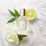 DRY OIL-FLORENCE SCENTED