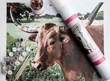 PINK PICASSO KITS-LUCY LONGHORN